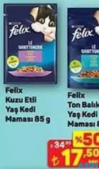 FELİX KUZU ETLİ YAŞ KEDİ MAMASI 85 G fiyat ve kampanya bilgisi